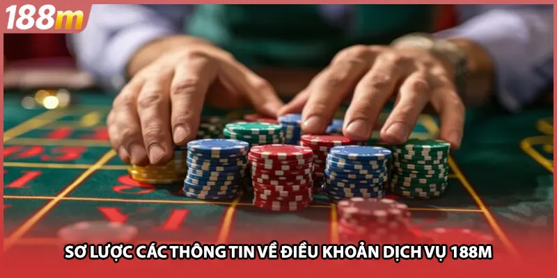 Sơ lược các thông tin về điều khoản dịch vụ 188M